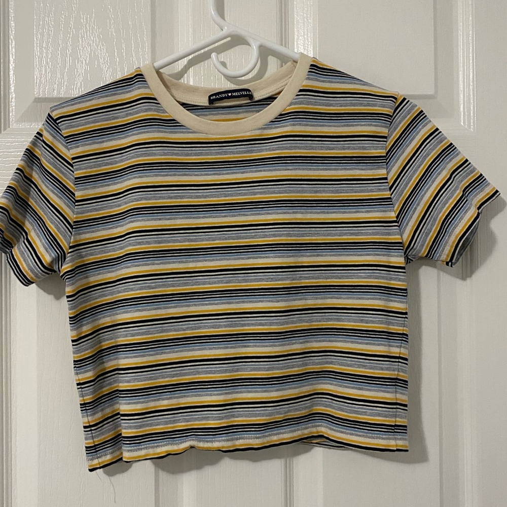 Brandy Melville Striped Crop Top
